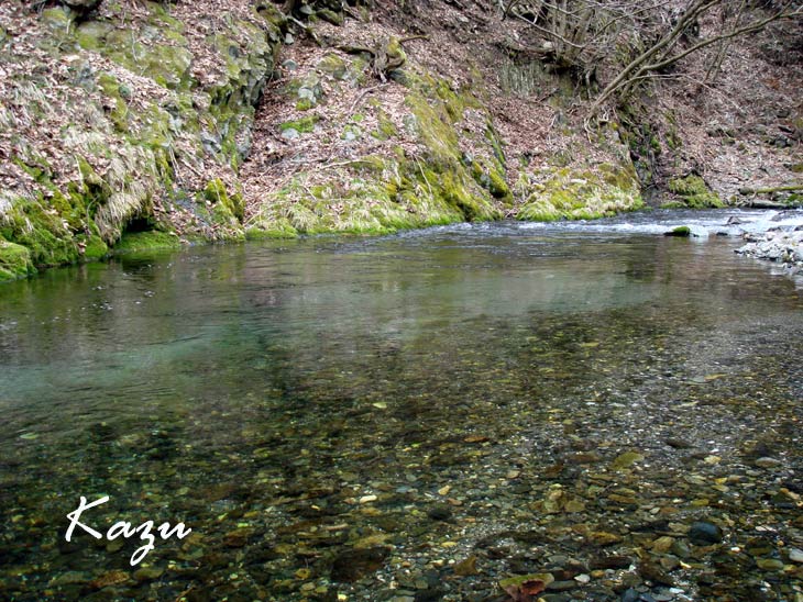 �N���b�N���Ă�