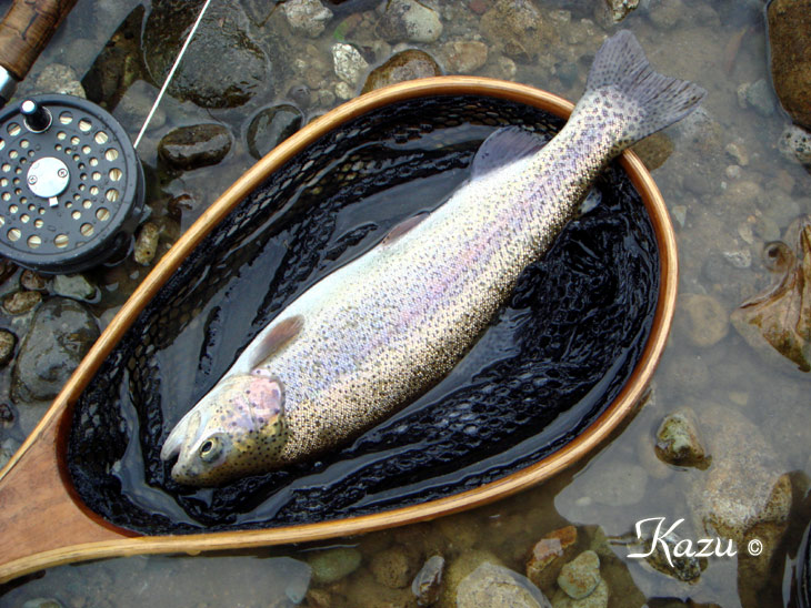 クリックしてね