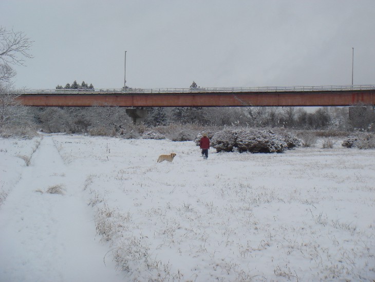 �N���b�N���Ă�