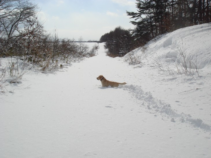 �N���b�N���Ă�