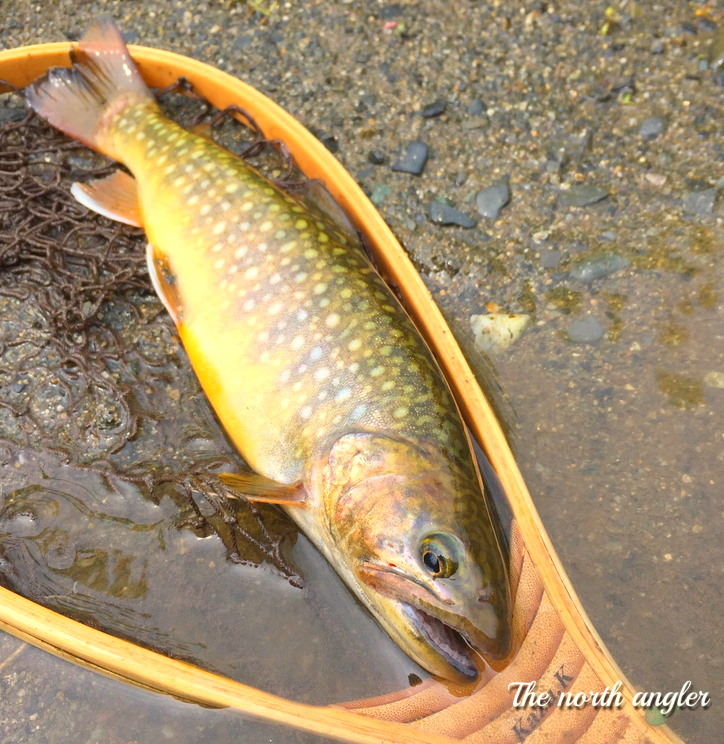 クリックしてね