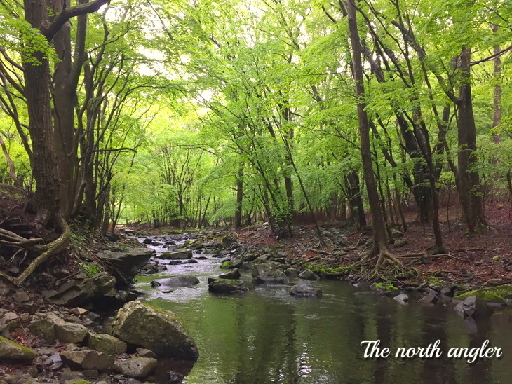 クリックしてね