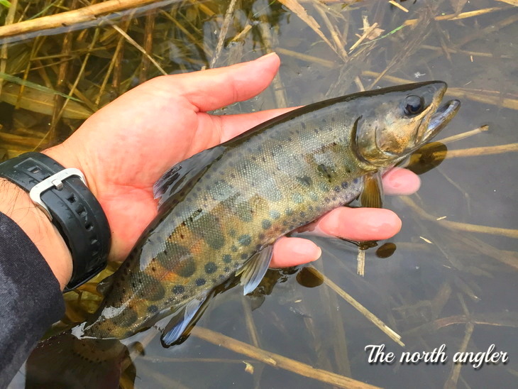 クリックしてね