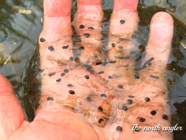 クリックしてね