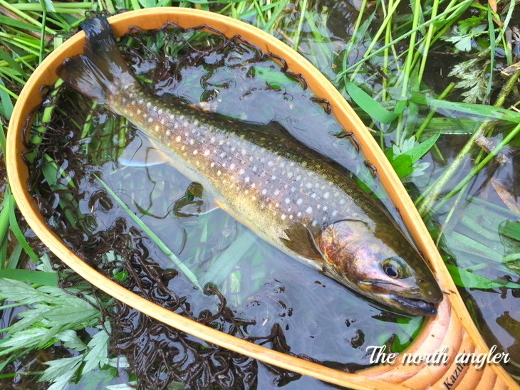 クリックしてね