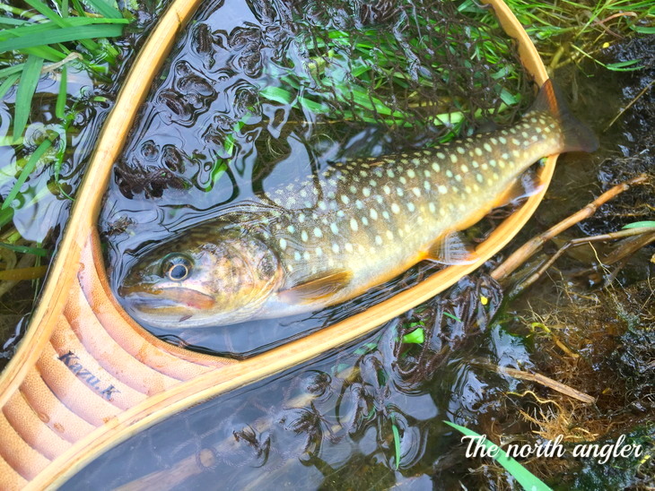 クリックしてね