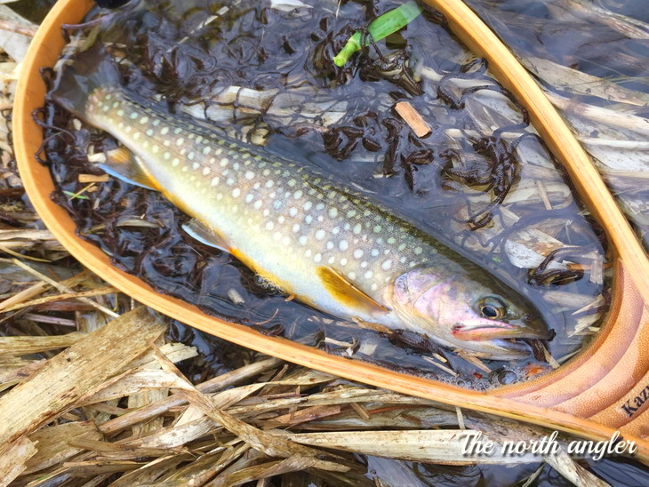 クリックしてね