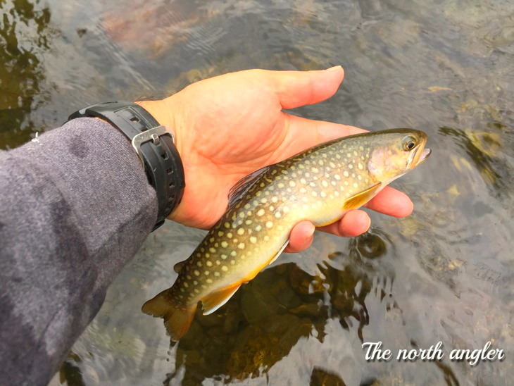 クリックしてね