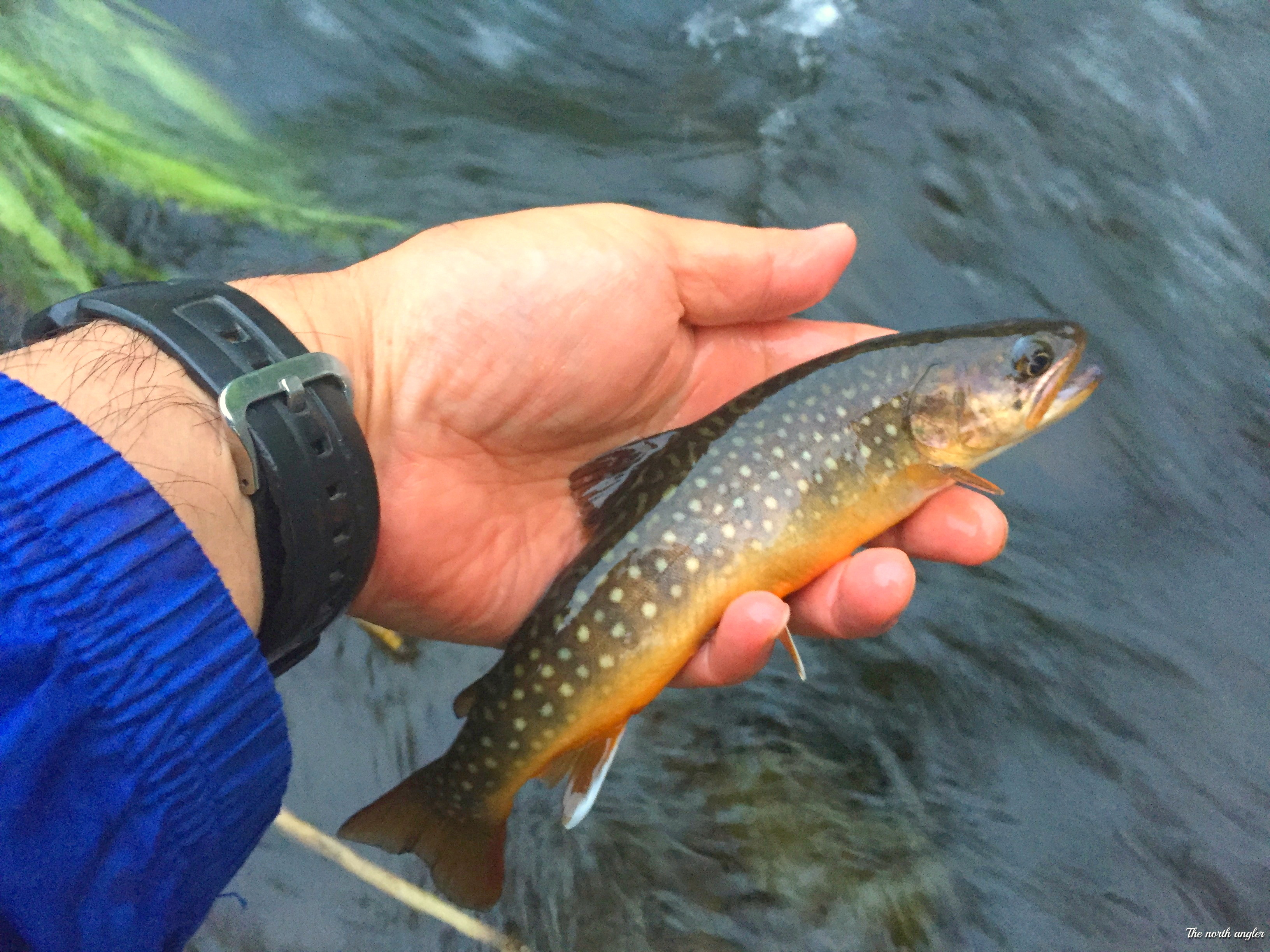 クリックしてね