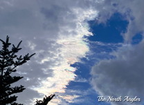 クリックしてね