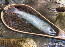 クリックしてね