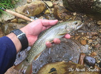 クリックしてね