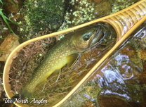 クリックしてね